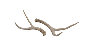 Antlers