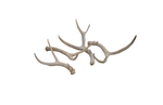 Load image into Gallery viewer, Antlers
