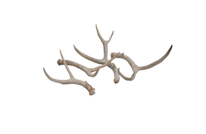 Antlers